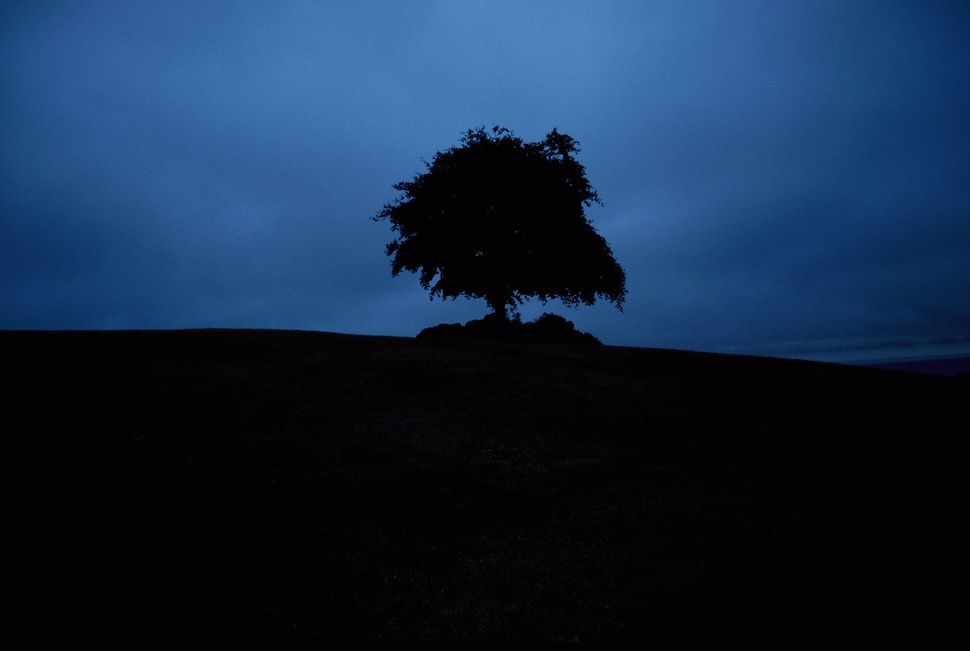 Sollicitude